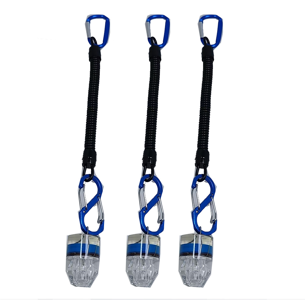 Fish Alarm - 2-3PCS LED 낚시 조명등 (로프 포함)