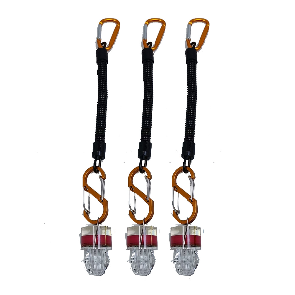 2-3PCS LED 낚시 조명등 (로프 포함) 수중 딥 - Fish Alarm 리뷰 및 가격